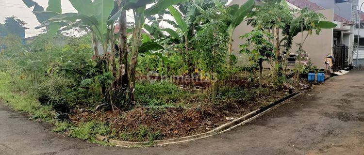 Dijual  cepat tanah kavling  gandeng di komplek belakang Pemda kajen pekalongan  1