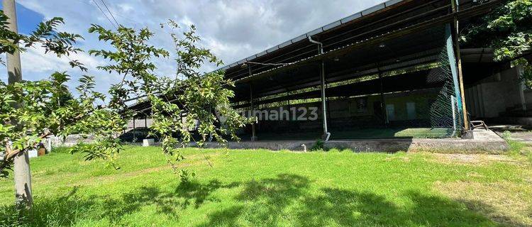 Land 2000 m² SHM in Buleleng Bali 1