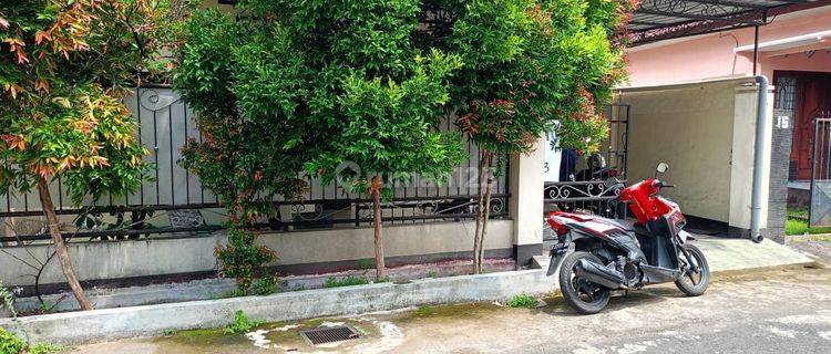 Disewakan Rumah Pusat Kota Mataram 1