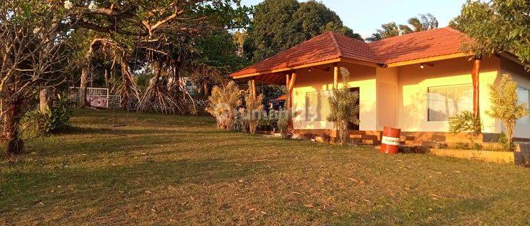 Disewakan Rumah Semi Villa View Pantai Di Senggigi Lombok 1