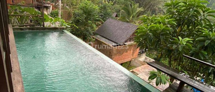 Villa modern ubud dengan view sungai dan hutan tropis  1