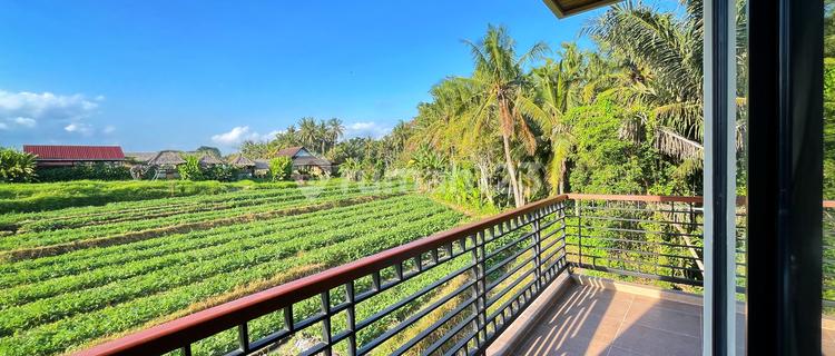 Pemandangan Sawah Khas Daerah Ubud Murah Saja 1