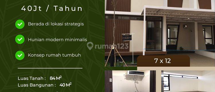 Sewa Rumah Murah 1 Lantai Podomoro Park Klaster Padmagriya 1