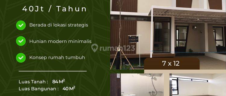 Sewa Rumah Murah 1 Lantai Podomoro Park Klaster Padmagriya 1