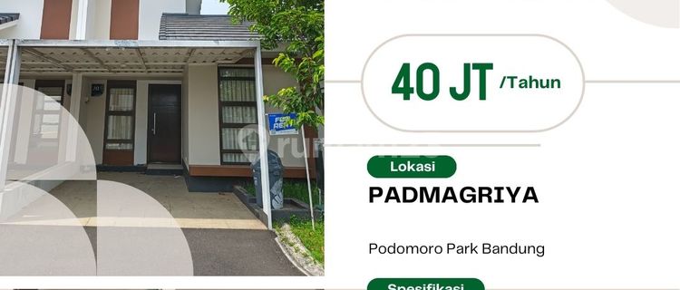 Sewa Rumah Murah 1 Lantai Podomoro Park Klaster Padmagriya 1