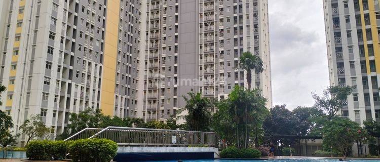 Apartemen 2 BR Springlake Tower Davallia Summarecon Bekasi  1