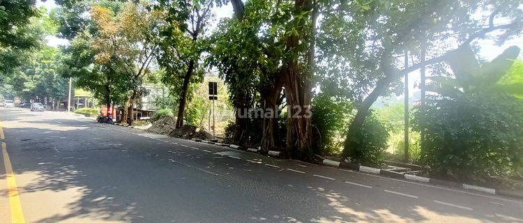 Disewakan Tanah di Jalan Pajajaran 1