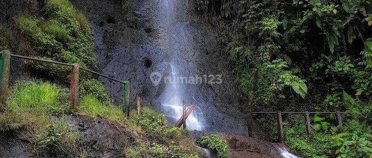 Dijual Tanah Ada Tempat Wisata di Cimanggu Cibungbulang 1