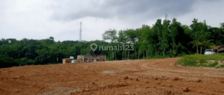 Tanah Termurah Timur Bandara Yia Wates, Cocok Untuk Investasi 1