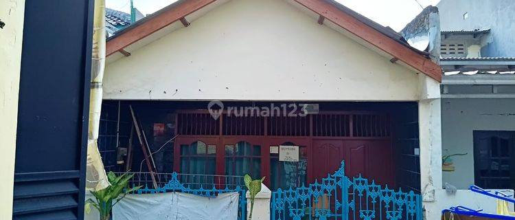 Rumah Murah Via Lelang Semper Jakarta Utara 1