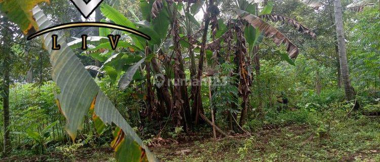 Di Jual Cepat Sat Set Tanah/lahan Murah Daerah Karampring 1