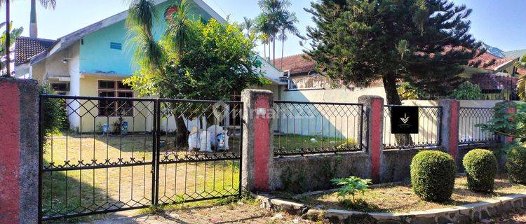 Rumah Dikontrakkan Area Jember Kota Kaliwates Halaman Luas 1