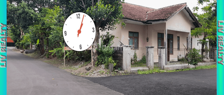 Rumah hook murah 1