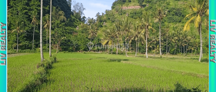 Di jual sawah lokasi dekat objek wisata  1