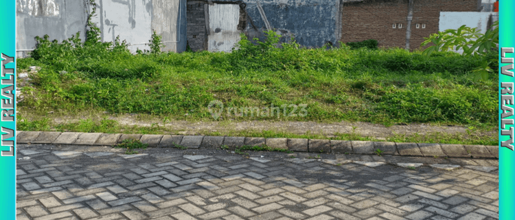 Di jual tanah kavling blok dapan harga murah 1