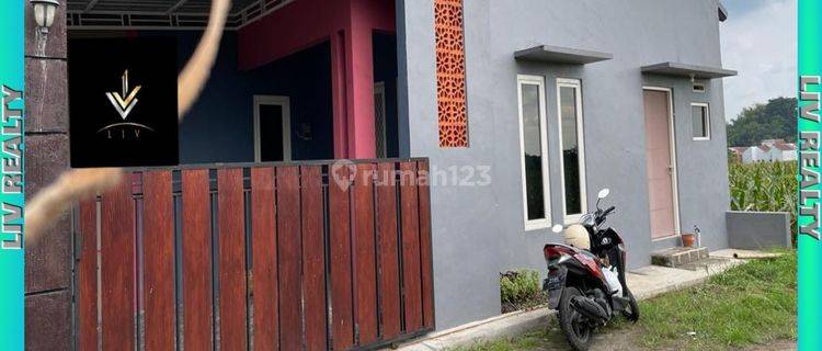 Di sewakan rumah suasana asri dan sejuk  1