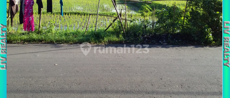 Di jual tanah lokasinya strategis 500m ke jalan raya 1