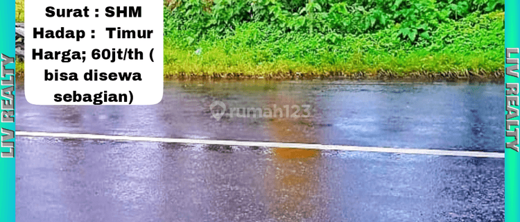 Disewakan tanah/sawah pinggir jalan strategis. 1