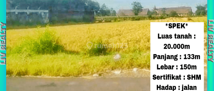 Dijual lahan aktif sangat luas, daerah Jenggawah. 1