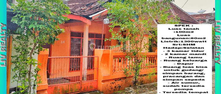 Dikontrakan rumah luas daerah Kampus, lingkungan aman. 1