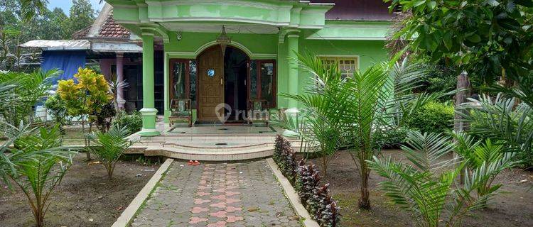 Dijual *rumah* Bernuansa Pedesaan Daerah Sumuran Ajung  1