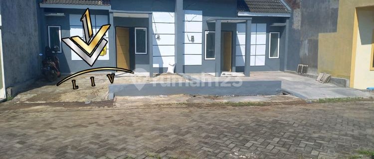 Dijual Cepat Rumah Kembar Hunian Yang Nyaman & Aman Buat Tempat Tinggallokasi Kaliwates (royal City) 1