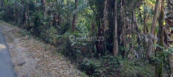 Tanah Dijual Di Pinggir Jalan Aspal. Cocok Utk Cluster Atau Jenis Usaha Lainnya. Lokasi Strategis Dan Prospek Untuk Kedepannya. 1