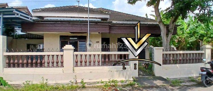 Dikontrakan Rumah Daerah Patrang 1