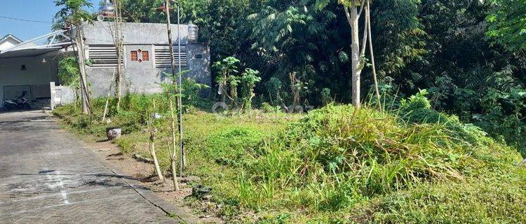 Tanah Dijual Di Area Kampus Jember Akses Mobil Prospek Kos-kosan Mahasiswa  1