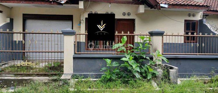 Disewakan Rumah Didaerah Tegal Besar  1