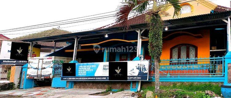 Rumah*disewakan Dekat Roxy Mall 1