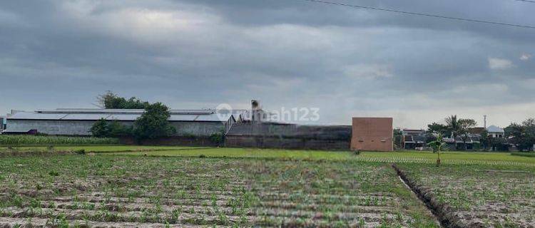 Tanah Dijual Lokasi Ajung Dekat Kantor Desa Ajung  1