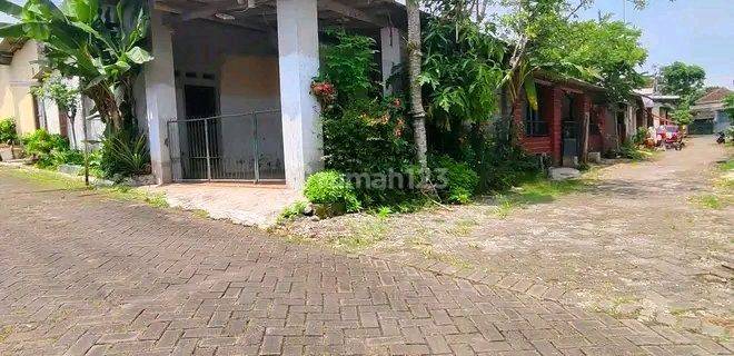 Di Jual Cepat Rumah Daerah Banyuwangi 1
