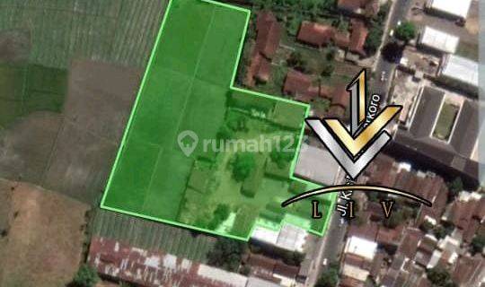 Dijual Cepat Tanah Premium Tengah Kota Bondowoso 1
