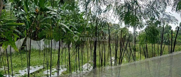 Disewakan,dijual,atau Gadensawah Luas 850m² 1