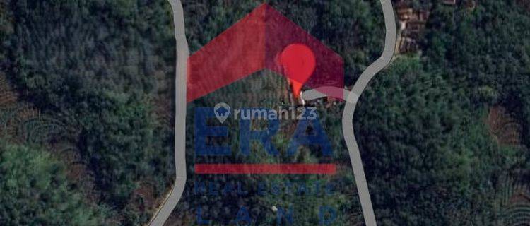 Tanah di Jalan Pringwulung , Gunung Kidul SHM 2.835 m² 1