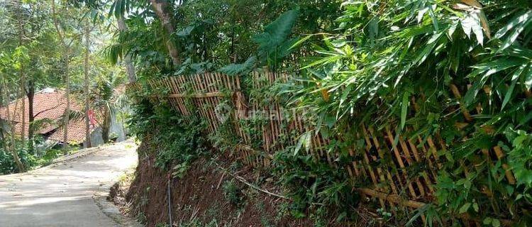 DIJUAL TANAH KEBUN STRATEGIS PINGGIR JALAN DI NAGRAK CANGKUANG 1