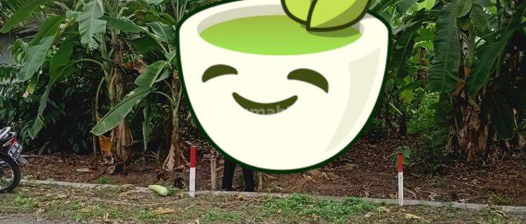 Dijual Lahan Kavling Murah Siap.bangun Di Gandrungmangu Cilacap 1