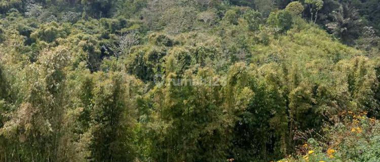 DIJUAL SGT MURAH DIBAWAH NJOP TANAH KEBUN PETERNAKAN DI GARUT 1