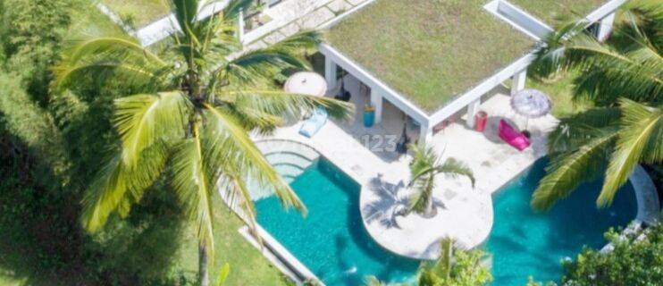 Dijual Villa Modern di Kawasan Ubud, Cocok Untuk Villa Bisnis 1