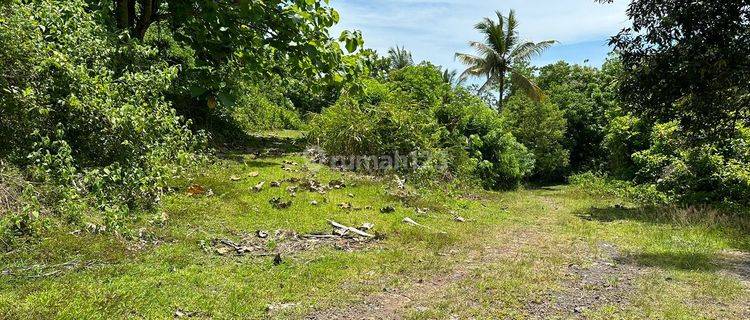 Dijual Tanah Kebun dekat Pantai SOKA Tabanan 1