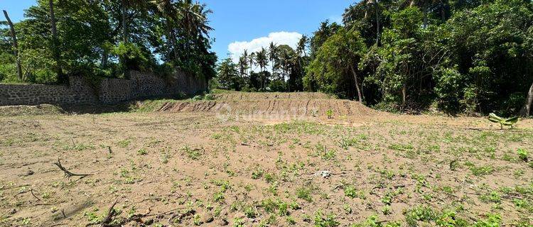 Ocean view and rice paddy view land in Keramas Gianyar for sale 1