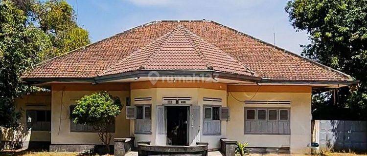 Rumah Hayam Wuruk Mojokerto Bentuk Kotak Area Komersil Strategis 1