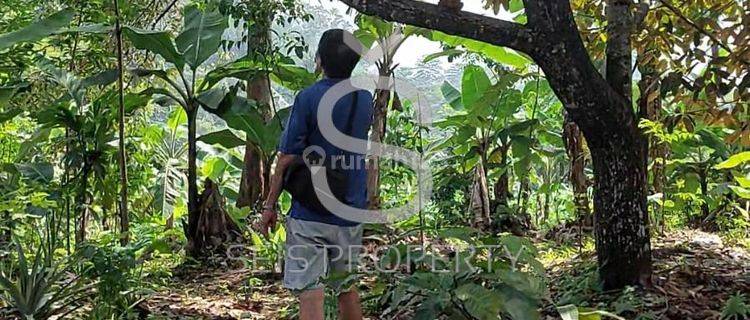 Dijual Tanah Kebun Di Cipatat Kab Bandung Barat 1