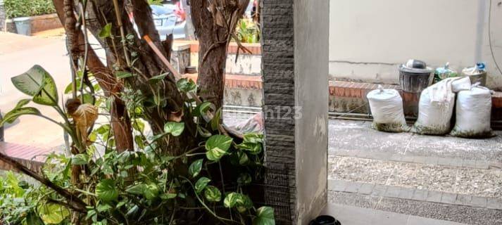 Dijual Rumah Luas di Lingkungan Asri Bintaro Sektor 9 1