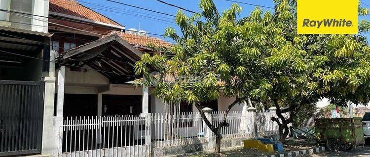 Dijual Rumah SHM di Darmo Baru Barat Surabaya 1