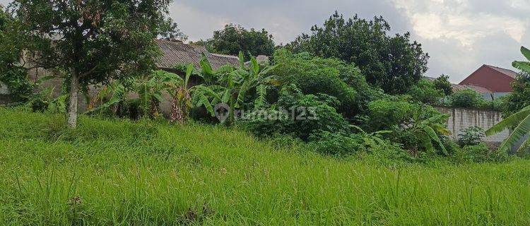 Tanah Darat Siap Bangun Bebas Banjir Di Wibawa Mukti Jati Asih Tanah 1