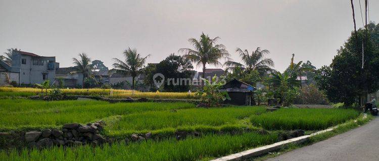 Dijual Tanah  Pinggir Jalan  1