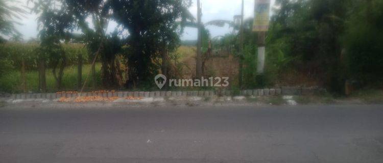 Tanah zona merah Karangwuni klaten 1