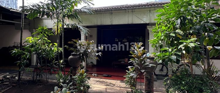 Hunian 1 lantai di Pancoran Jakarta Selatan dilahan yang luas 1